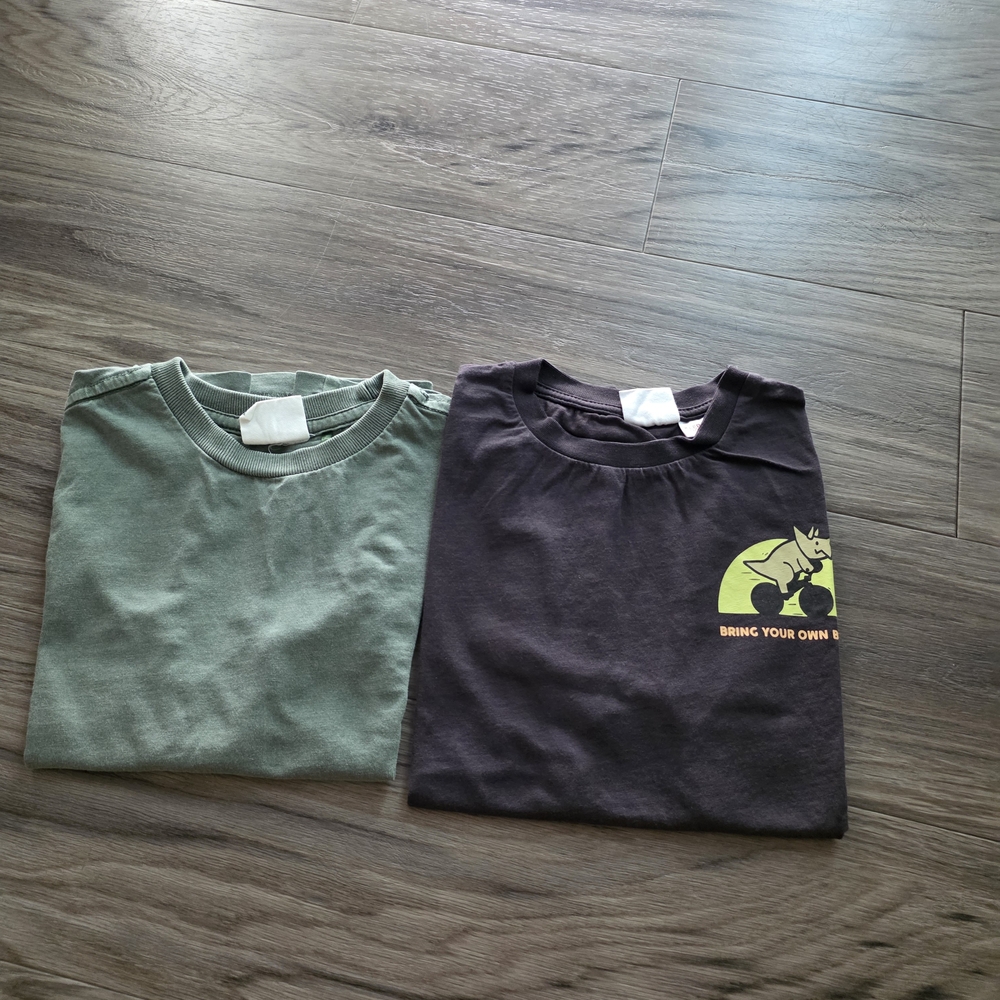 Zara Kids' Tees - Green and Black with Dinosaur Graphic
